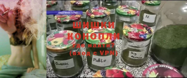 PSILOCYBIN Балабаново